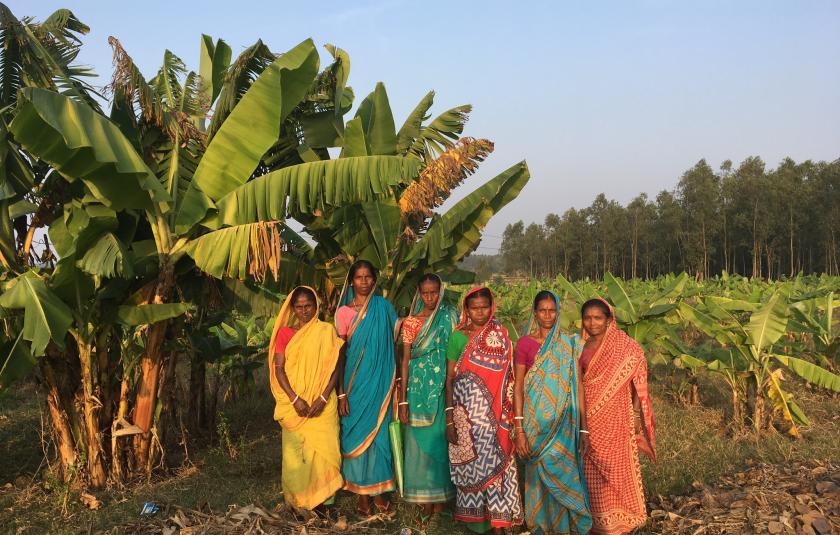 Members of a SHG pose near their banana plantation 