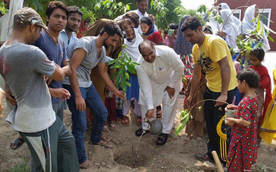 PeaceAnd EnvironmentCC-treePlanting1.jpg