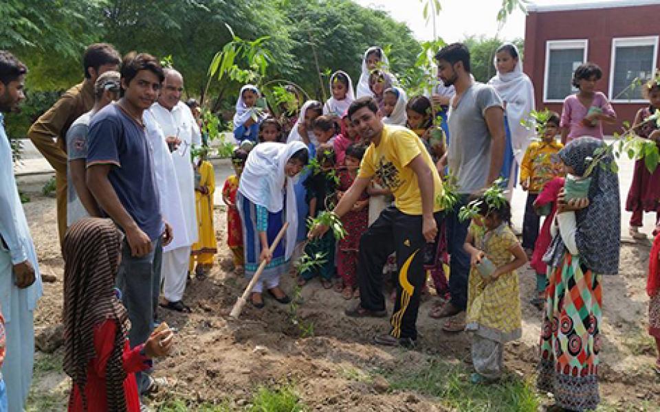 PeaceAnd EnvironmentCC-treePlanting3.jpg