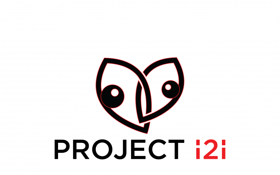 A graphic of two eyes with the words Project i2i below it. 