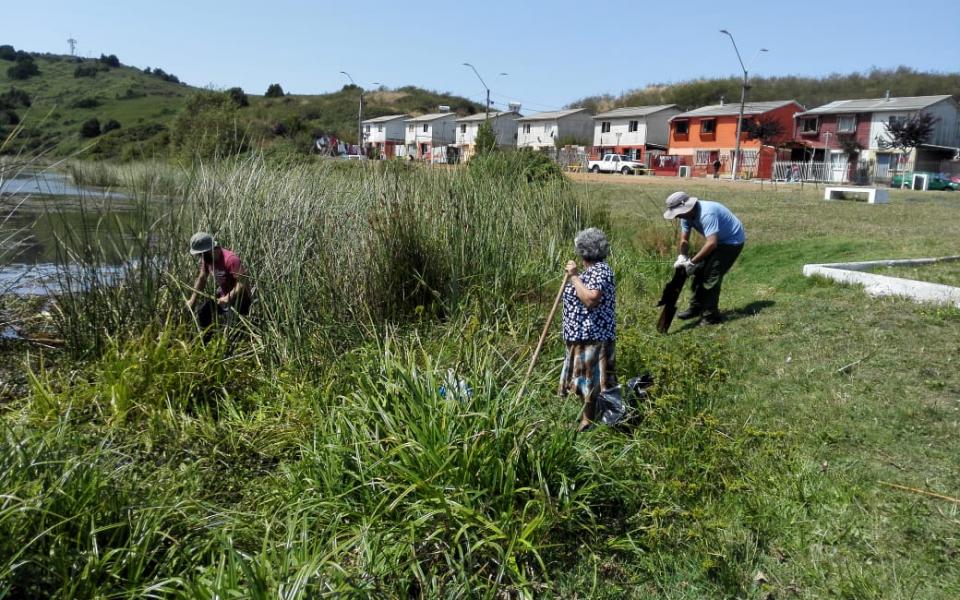 Ecological Cleanup Day in Chile